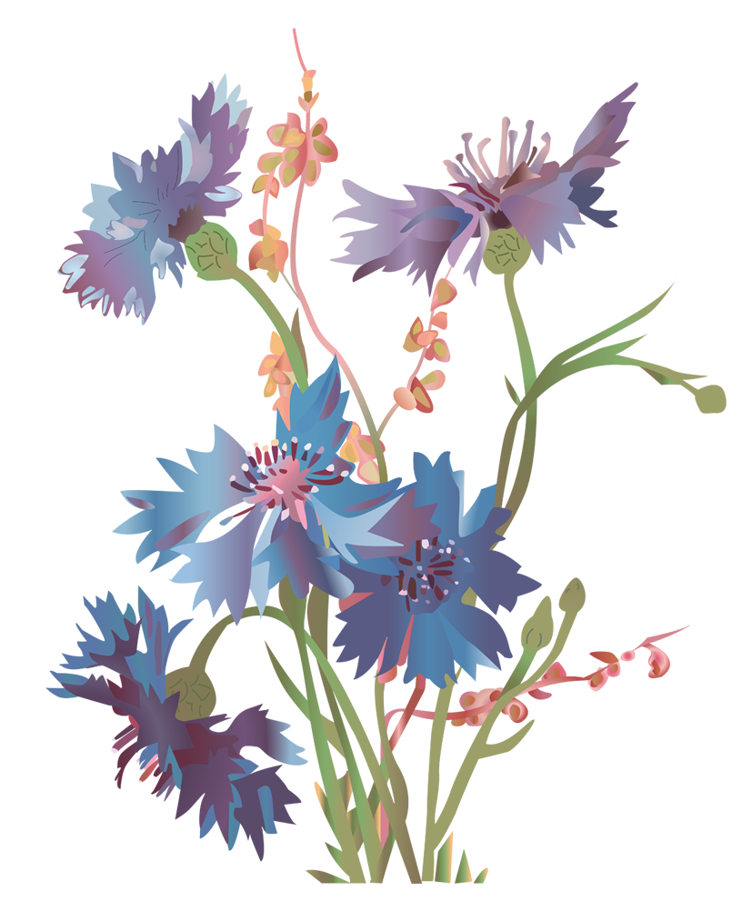 fleurs d'aout