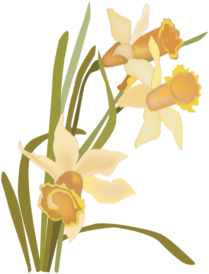 fleurs de fevrier