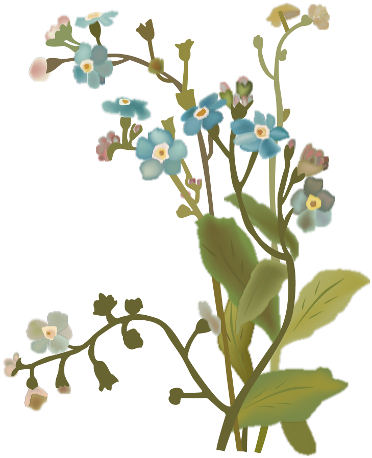 fleurs de mai